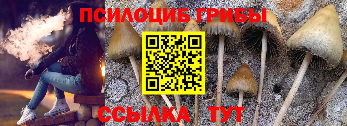 Галлюциногенные грибы MAGIC MUSHROOMS  Вход с VPN  Арзамас 