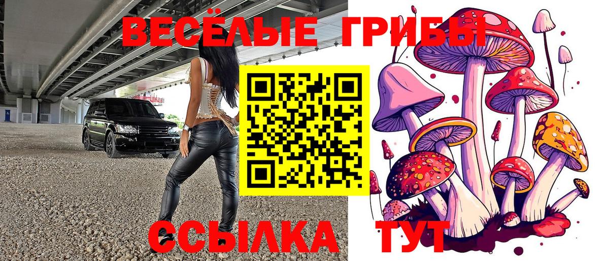 Галлюциногенные грибы Psilocybine cubensis Арзамас